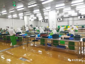 太平恩利食品加工廠高薪誠聘 包吃包住，男女不限，酒店管理崗月薪過萬
